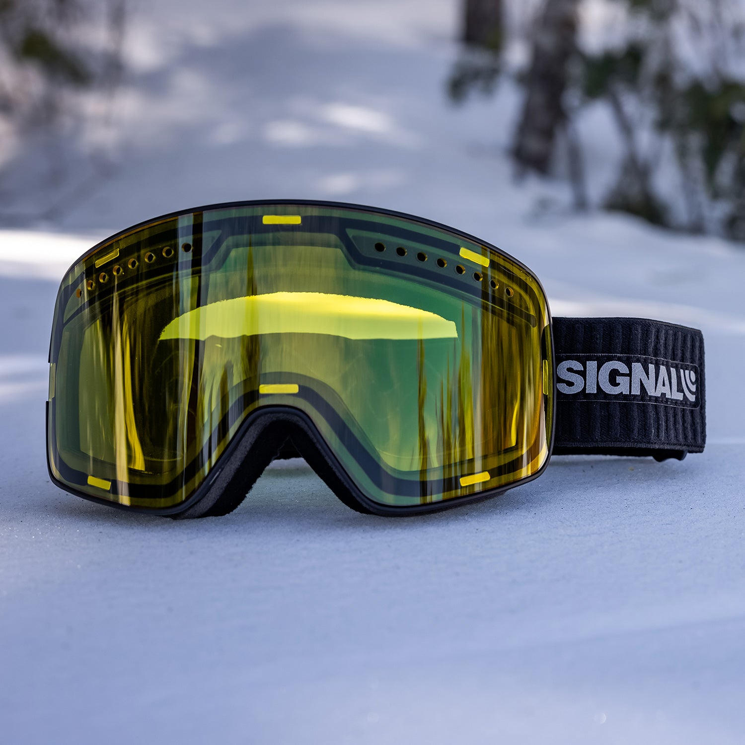 Signal Magnetic Snow Goggle